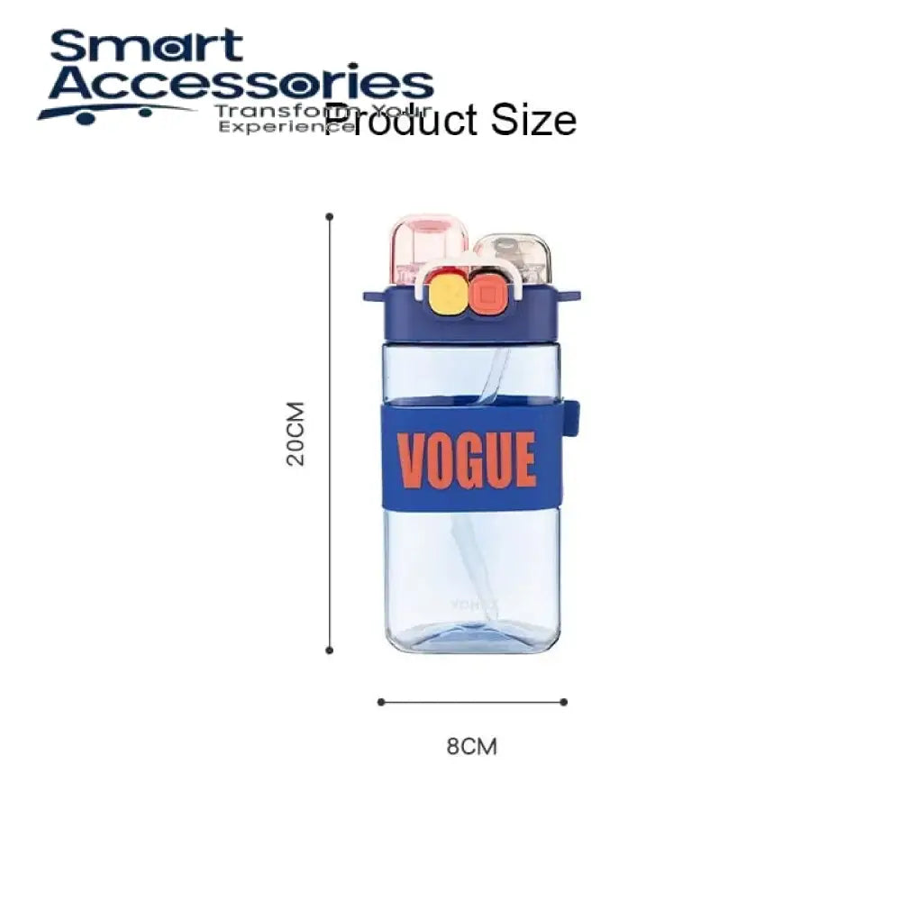Acrylic Leak-Proof Insulated Water Bottle With 520Ml Capacity