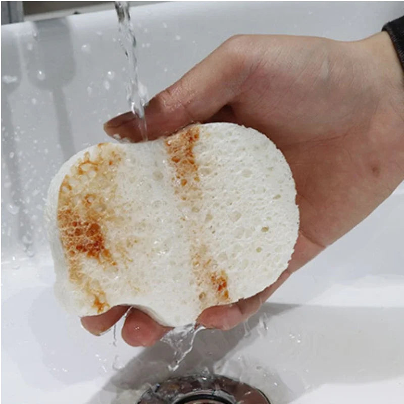 Compressed Wood Pulp Sponge