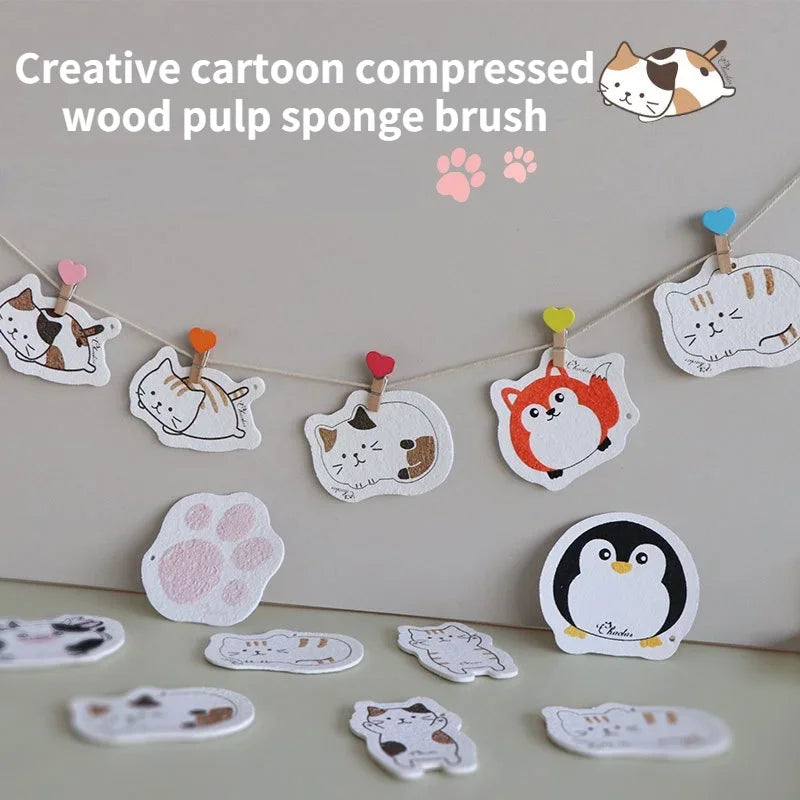 Compressed Wood Pulp Sponge