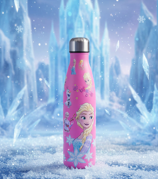 Frozen Theme Stainless steel Water Bottle