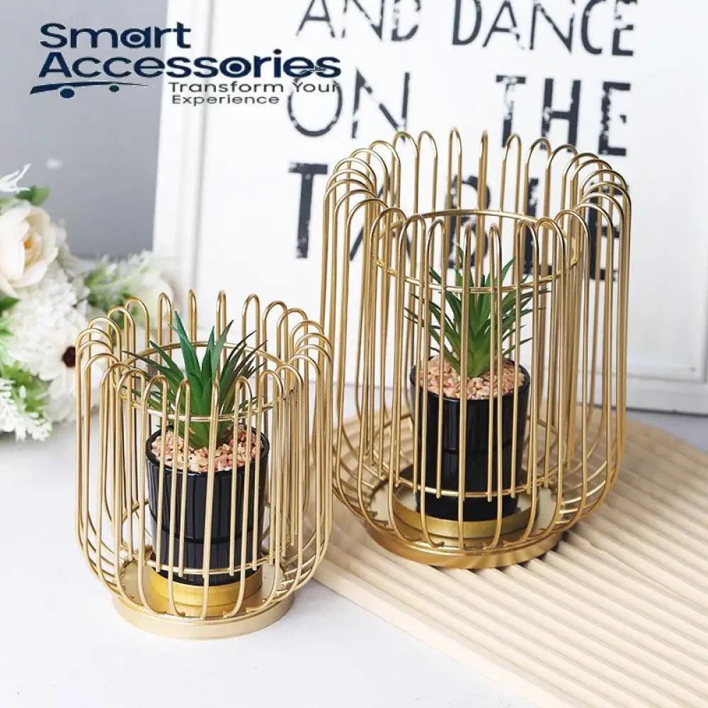 2 Pcs Set Planter With Acute Metallic Structure