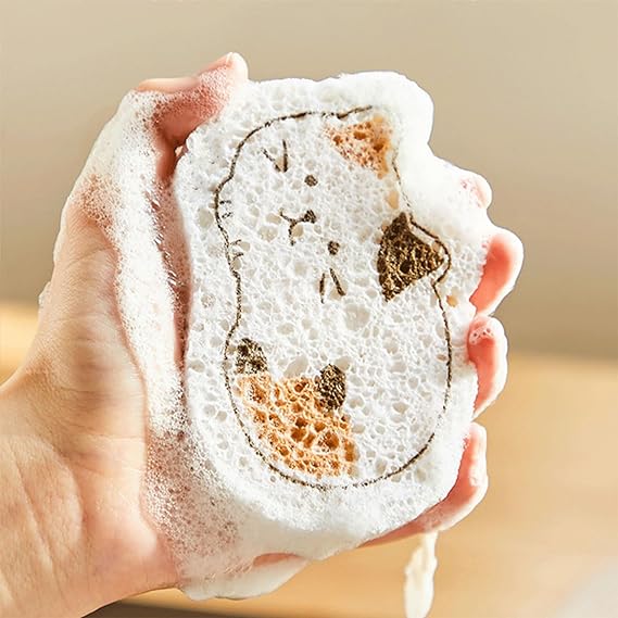 Compressed Wood Pulp Sponge