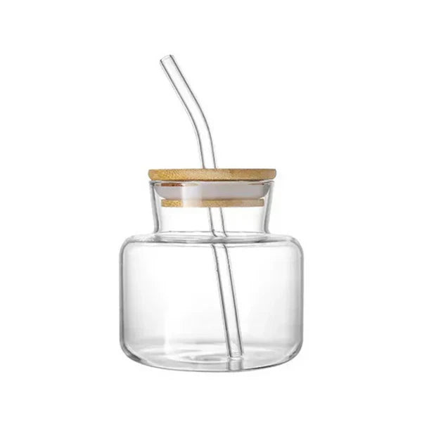 Halo Style Straw Glass With Lid