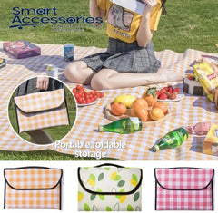 Portable Outdoor Picnic Matt