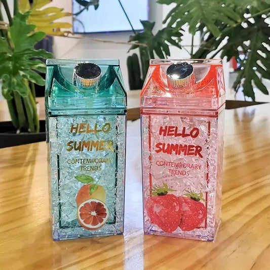Hello Summer Straw Fashion Ice Fruit Water Bottle