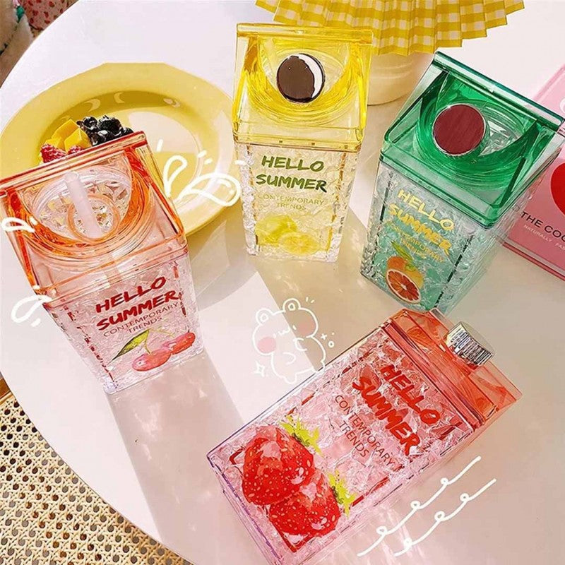 Hello Summer Straw Fashion Ice Fruit Water Bottle