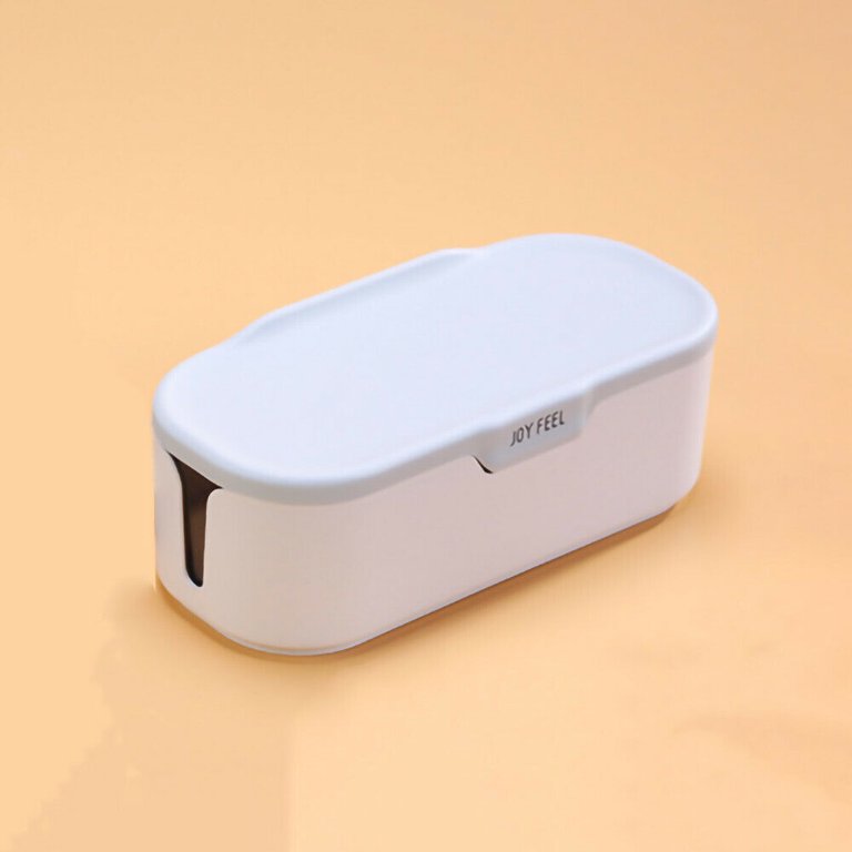 3-grid Seasoning Storage Box With Lid & spoons.