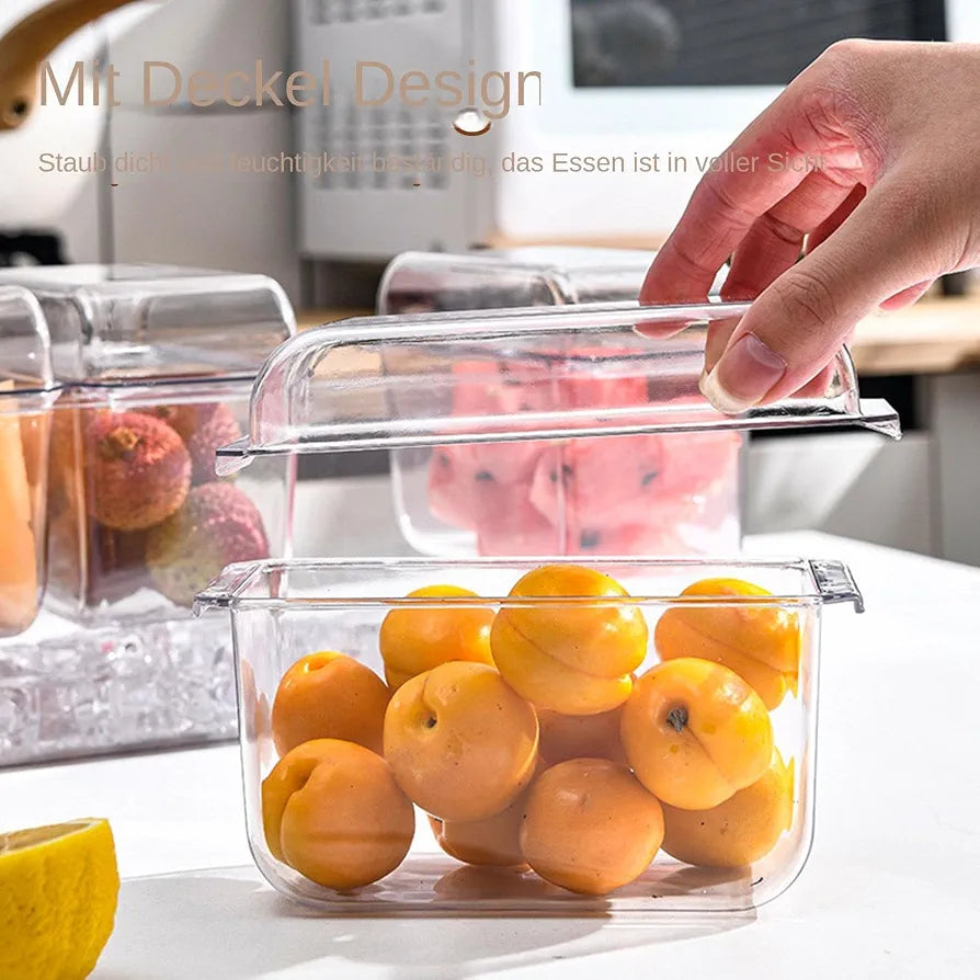 4 Compartments Tray With Removable Lid Container