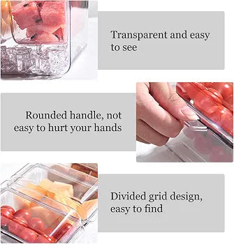 4 Compartments Tray With Removable Lid Container
