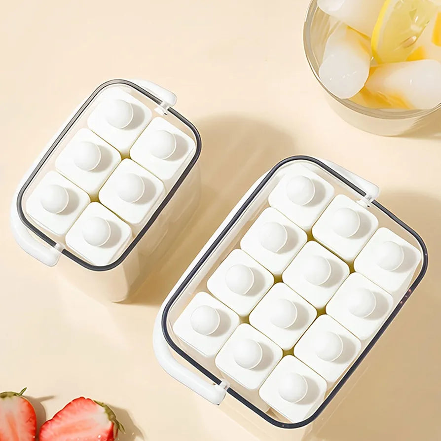 10 Grid Silicone Ice Popsicle Mold